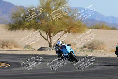 media/Feb-04-2023-SoCal Trackdays (Sat) [[8a776bf2c3]]/Turn 4 (Tree of Life 2pm)/